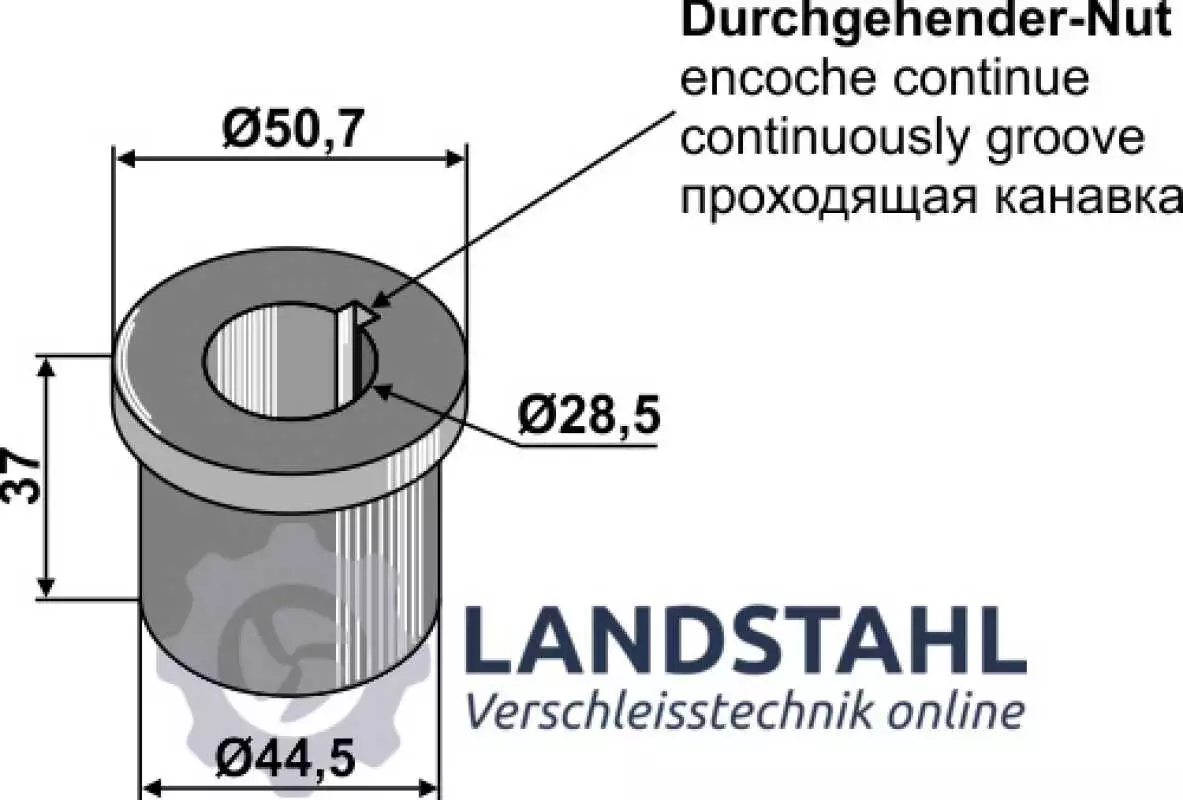 Buchse